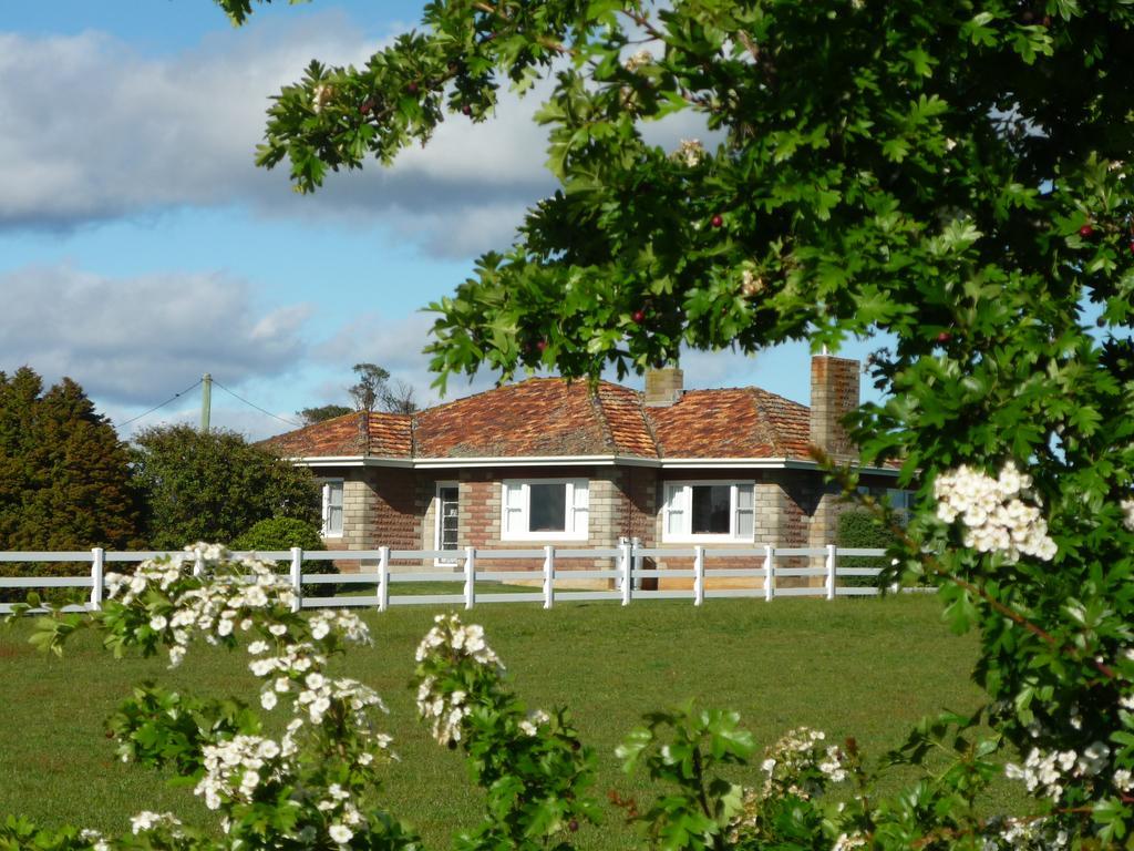 Hagley Little Sunnyside Accommodation מראה חיצוני תמונה